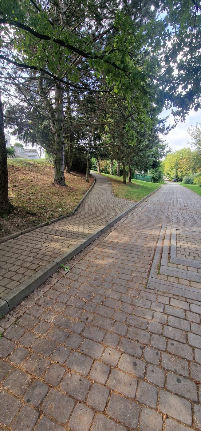 Uklizená veřejná cesta bez spadaného listí